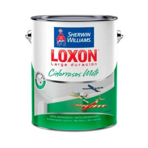 Loxon Larga Duración Cielorrasos Mate